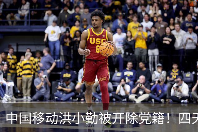 中国移动洪小勤被开除党籍！四天之内运营商打掉“四虎”！