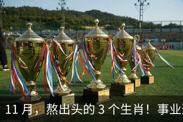 11 月，熬出头的 3 个生肖！事业逐步走高，辛苦付出开始变现